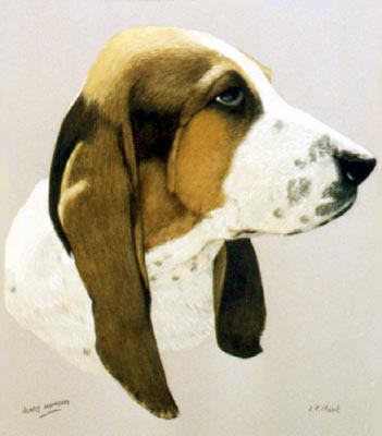 Pet Portraits - Basset Hound Painting by Isabel Clark