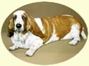 Click for Large Image of Basset Hound Painting