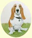 Click for Large Image of Basset Hound Painting