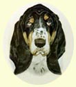 Click for large image of Basset Hound painting