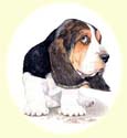 Click for Large Image of Basset Hound Painting