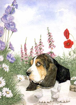 Pet Portraits - Basset Hound Painting by Isabel Clark