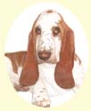 Click for large image of Basset Hound painting