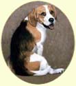 Click for Large Beagle Image