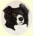 Click for Larger Border Collie painting