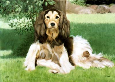 Pet Portraits - Border Collie painting - Oils