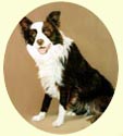 Click for Larger Border Collie painting