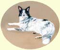 Click for Larger Border Collie painting