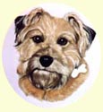 Click for Larger Border Terrier Image