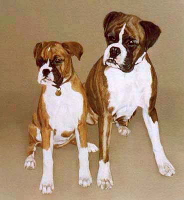 Pet Portraits - 2 Boxer Dogs - Oils