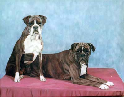 Pet Portraits - Boxer Dog Paintings by Isabel Clark
