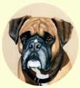 Click for larger image of Boxer dog painting