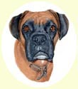 Click for larger image of Boxer dog painting