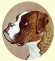 Click for larger image of Boxer dog painting