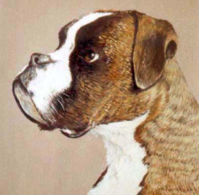 Pet Portraits Boxer Dog Watercolour Paintings