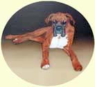 Click for larger image of Boxer dog painting