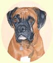 Click for larger image of Boxer dog painting