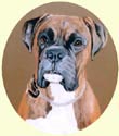 Click for larger image of Boxer dog painting