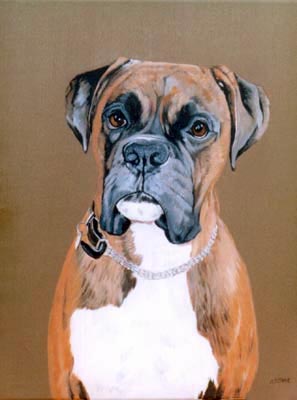 Pet Portraits Boxer Dog Oil Paintings