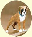 Click for larger image of Boxer dog puppy painting