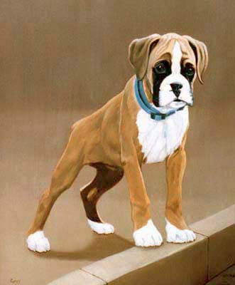 Pet Portraits - Boxer Dog and puppy oil paintings 