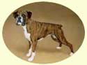 Click for larger image of Boxer dog painting