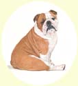 Click for larger Bulldog painting