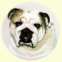 Click for larger Bulldog painting