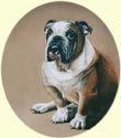 Click for larger Bulldog painting