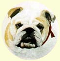 Click for larger Bulldog painting