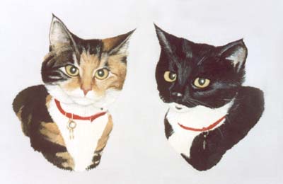 Pet Portraits - Cat paintings by Isabel Clark - English Artist