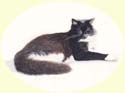 Click for larger image of cat painting