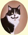 Click for larger image of cat painting