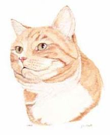 Pet Portraits - Cat paintings by Isabel Clark - English Artist