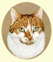 Click for larger image of cat painting