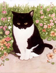 Pet Portraits - Cat paintings by Isabel Clark - English Artist