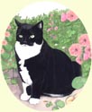 Click for larger image of cat painting by Isabel Clark - UK artist