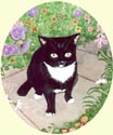 Click for larger image of cat painting by Isabel Clark - UK artist