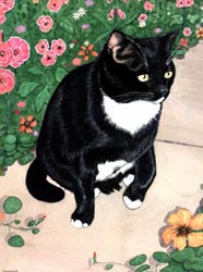 Pet Portraits - Cat paintings by Isabel Clark - English Artist