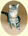 Click for Larger Image of Cat Painting