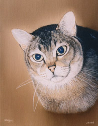 Pet Portraits - Tabby Cat Head Study