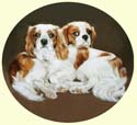 Click for larger painting of Cavalier King Charles Spaniels