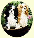 Click for larger painting of Cavalier King Charles Spaniels