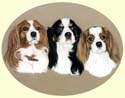 Click for larger painting of Cavalier King Charles Spaniels