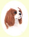 Click for larger painting of Cavalier King Charles Spaniel