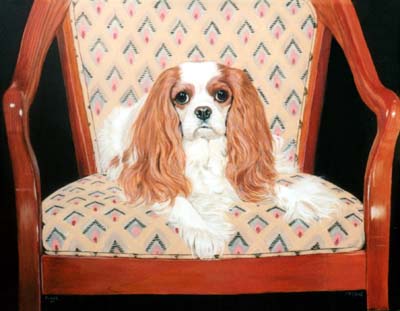 Cavalier King Charles Spaniel Painting in Oils