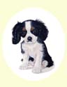 Click for larger painting of Cavalier King Charles Spaniel