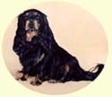 Click for larger painting of Cavalier King Charles Spaniel