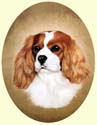 Click for larger painting of Cavalier King Charles Spaniel