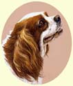 Click for larger painting of Cavalier King Charles Spaniel